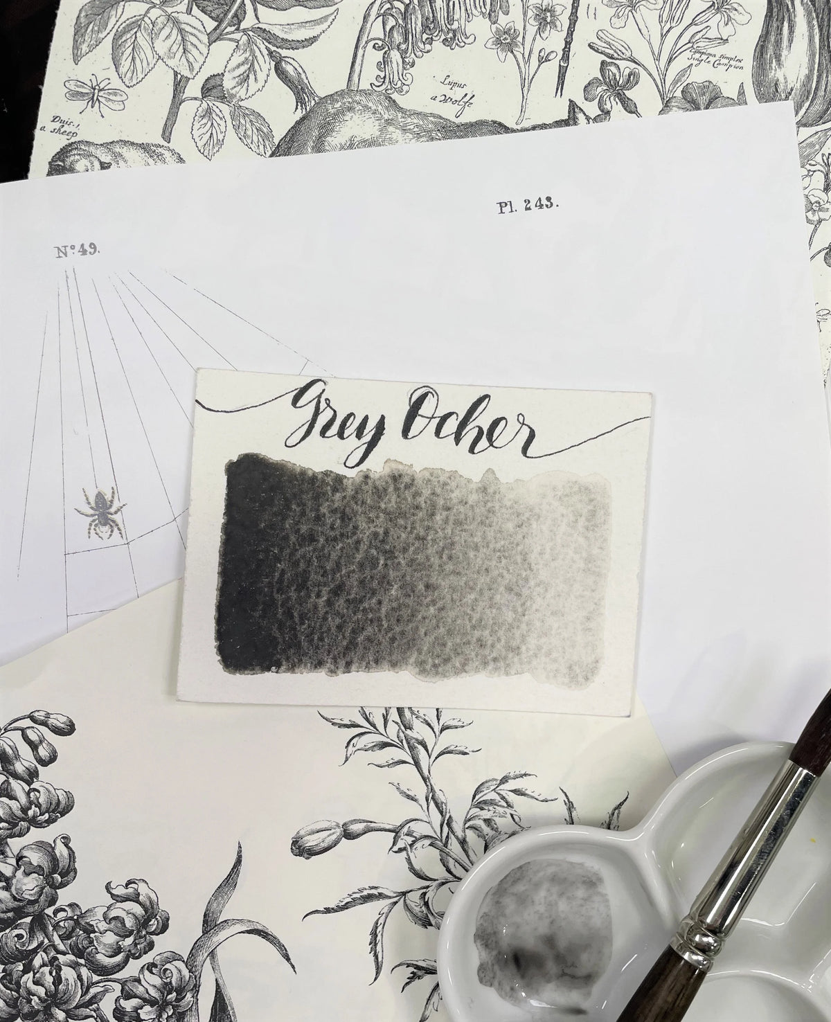 Grey Ochre