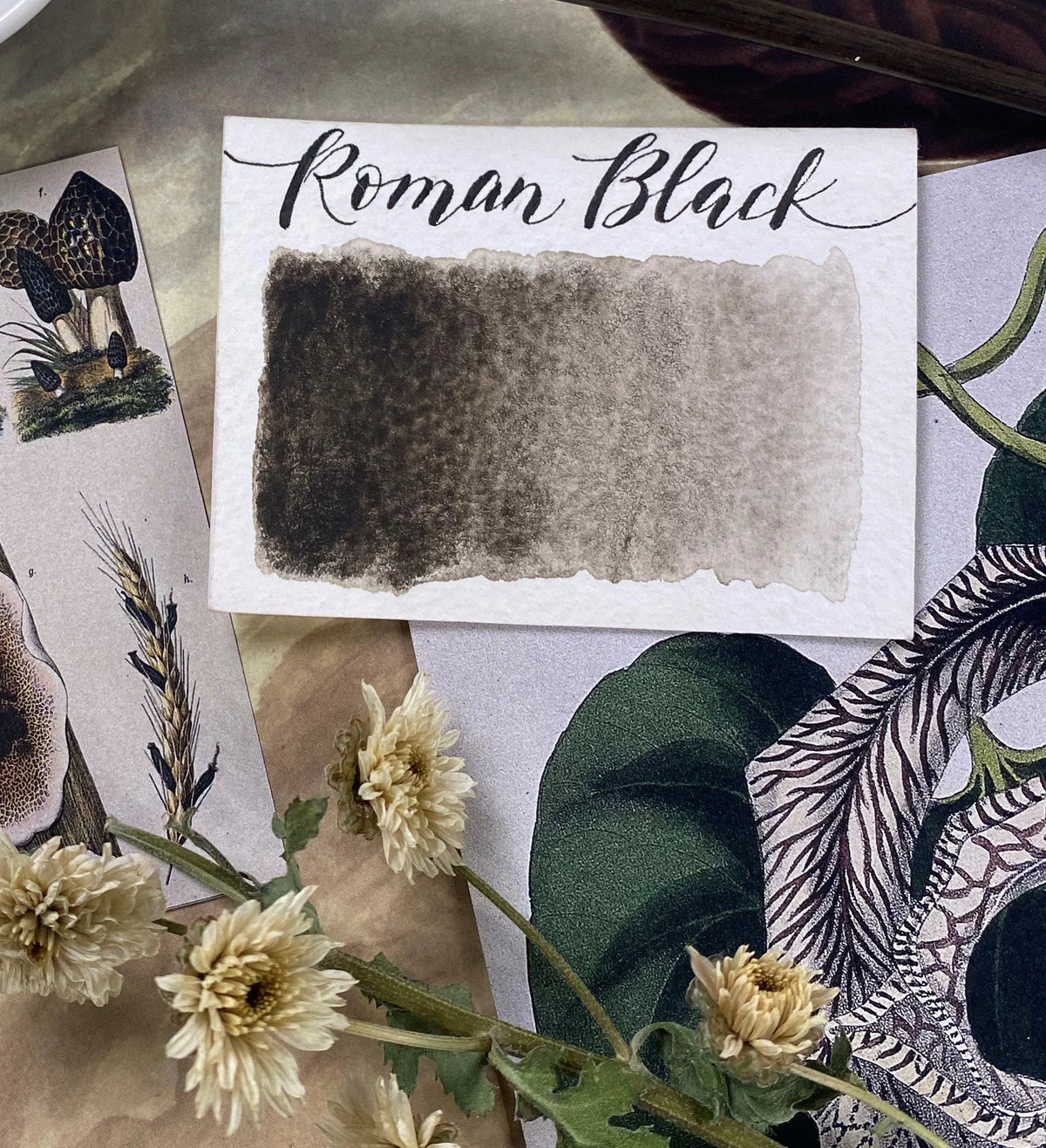 Roman Black