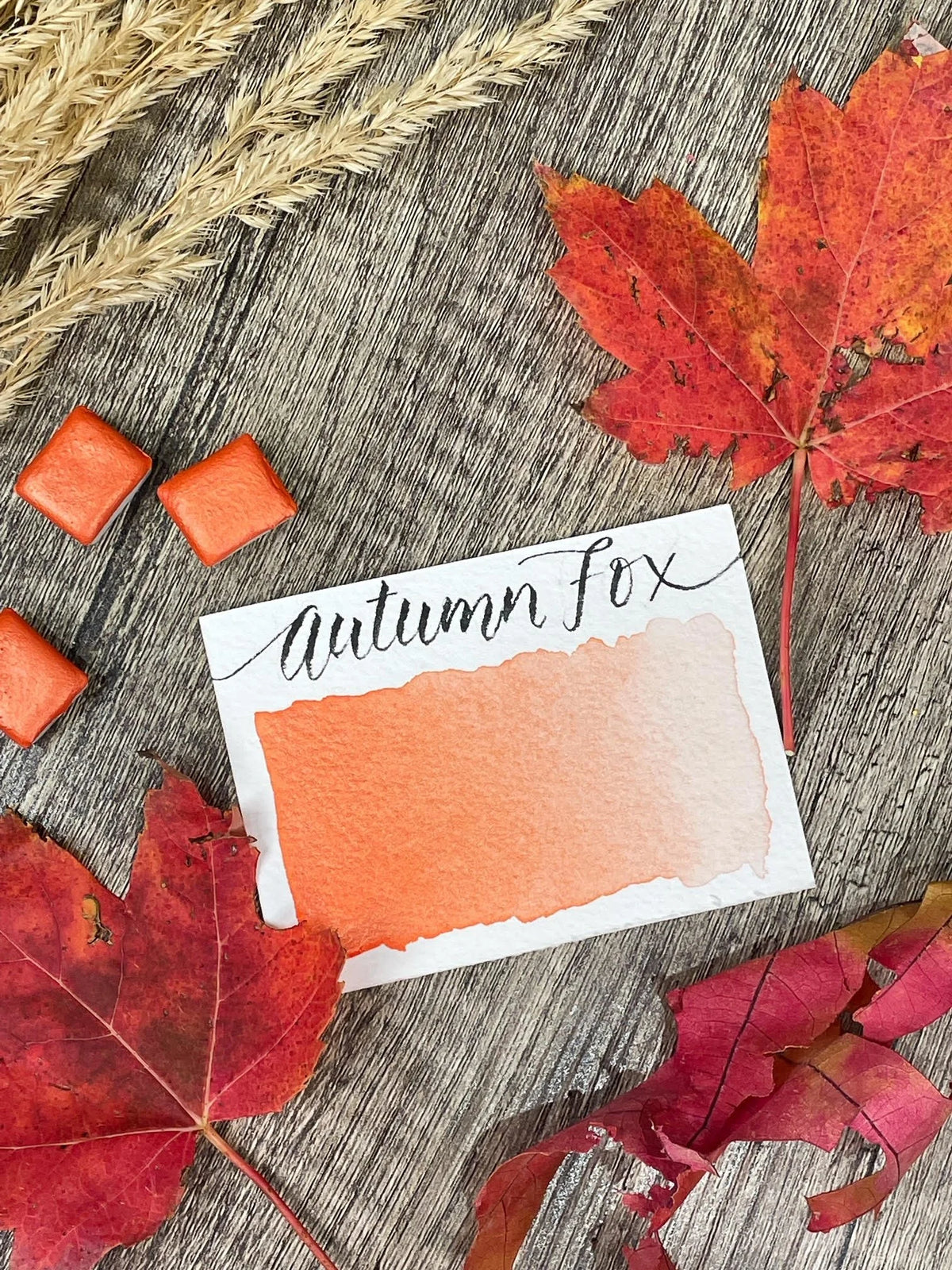 Autumn Fox