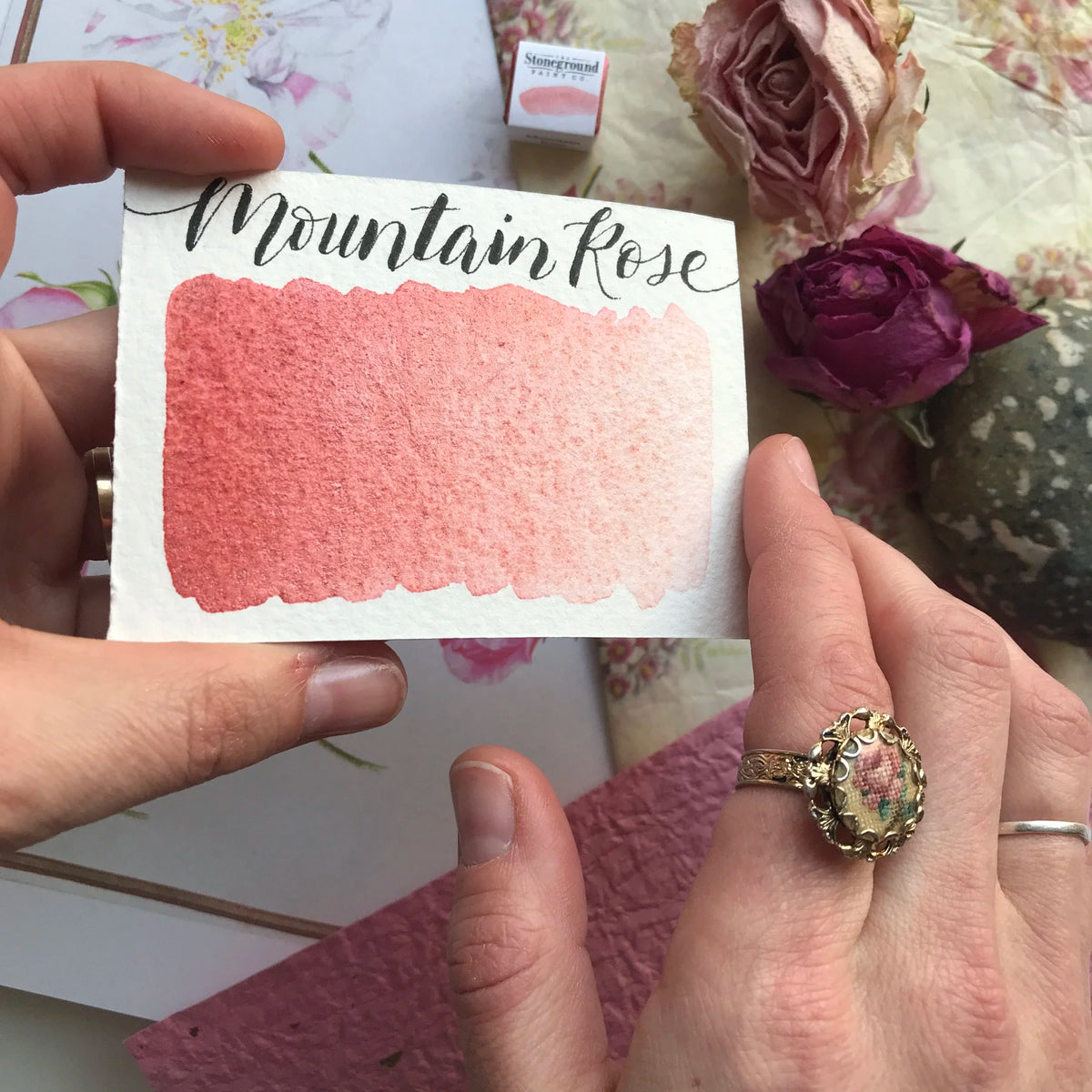 Mountain Rose