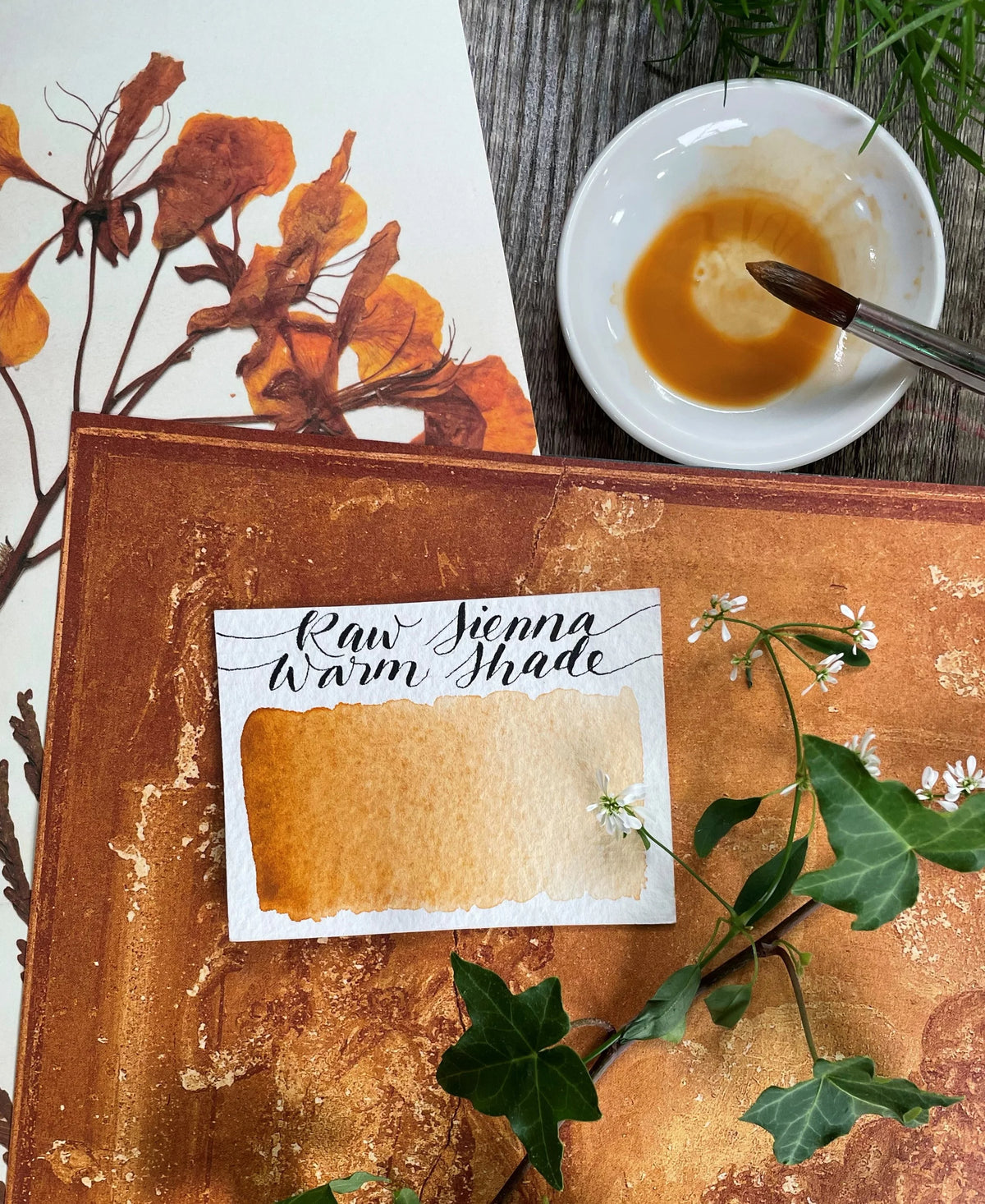 Raw Sienna Warm Shade